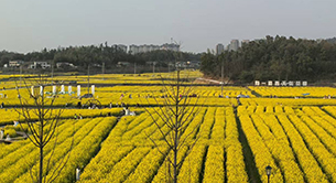 乡村振兴看“湘”村